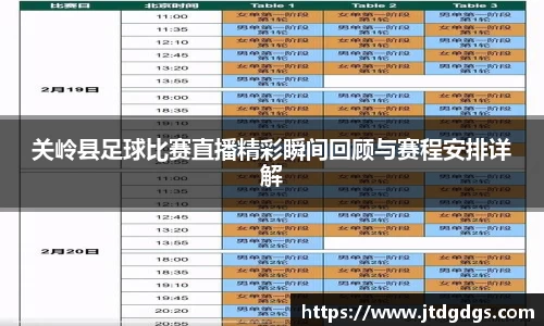 新足球直播在线观看